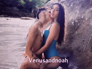 Venusandnoah