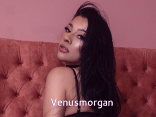 Venusmorgan