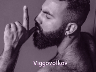 Viggovolkov