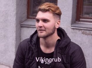 Vikingrub