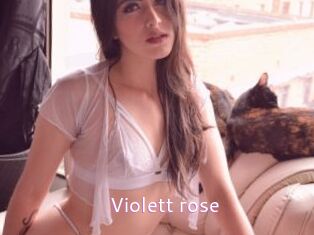 Violett_rose