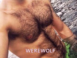 WEREWOLF