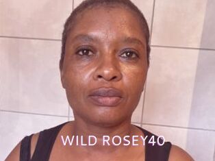 WILD_ROSEY40