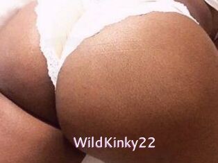 WildKinky22