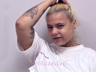 Wildaecton