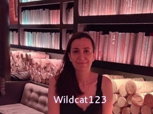 Wildcat123