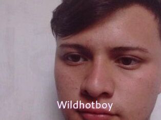 Wild_hotboy