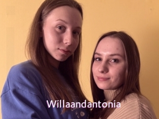 Willaandantonia