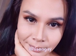 Wilsongay