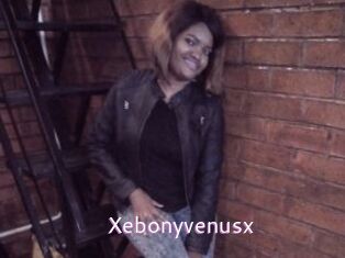 Xebonyvenusx