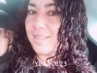 YECAOL23
