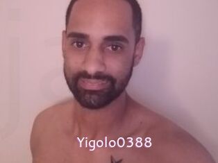 Yigolo0388