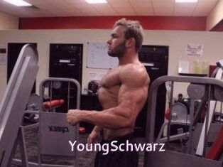 YoungSchwarz