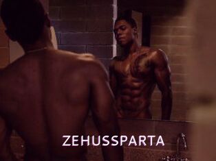 ZEHUS_SPARTA