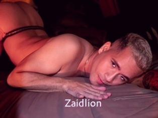 Zaidlion