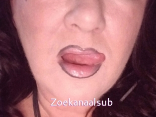 Zoekanaalsub